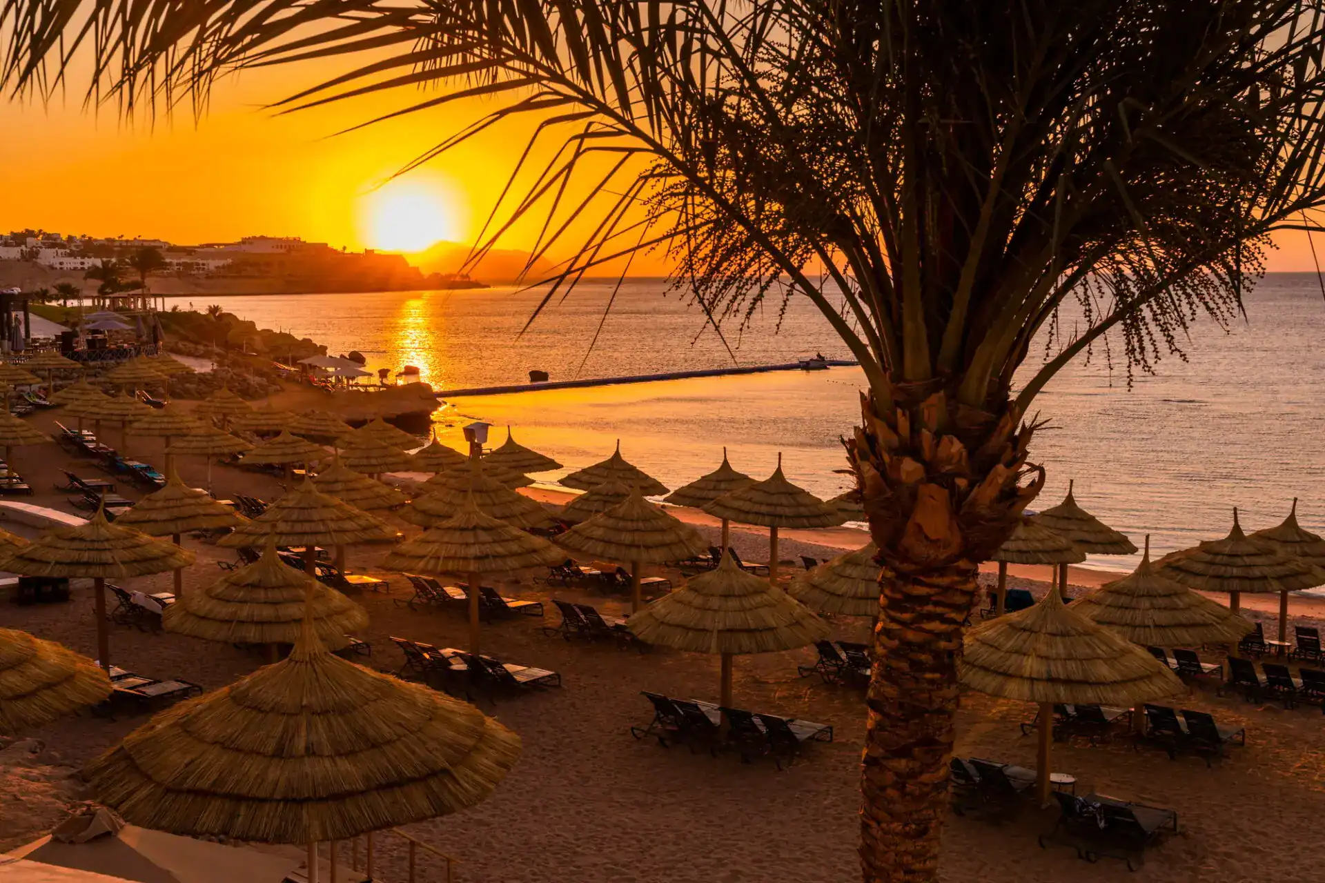 Sunset at the beach with palm trees, parasols and sunbeds. Luxury Travel in Egypt