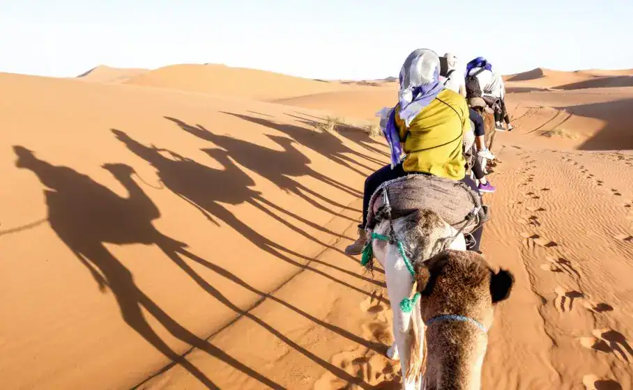 Tourists Caravan Riding Dromedaries Through Sand Dunes In Sahara Desert Tourists caravan riding dromedaries through sand dunes in Sahara desert Shalateen Day Trip From Marsa Alam